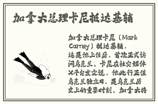 **在线